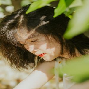 夏羽学