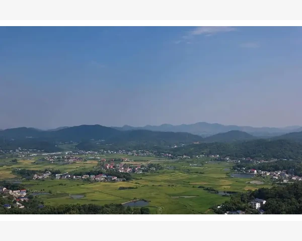 拔罐好还是拔罐好用？