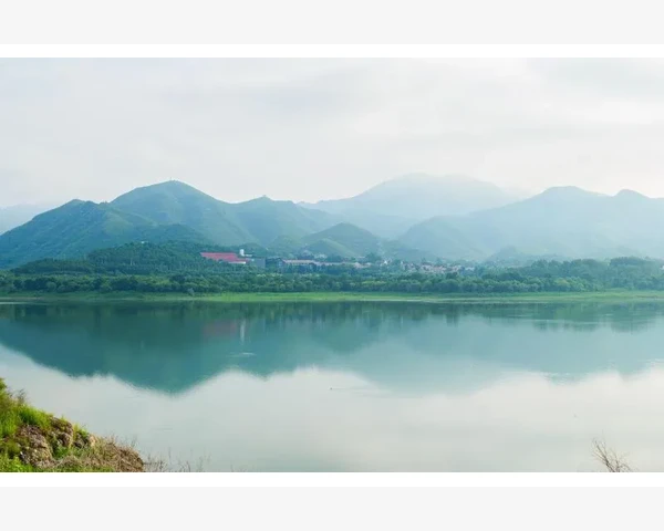 针灸疗法：益处与风险并存的传统中医疗法